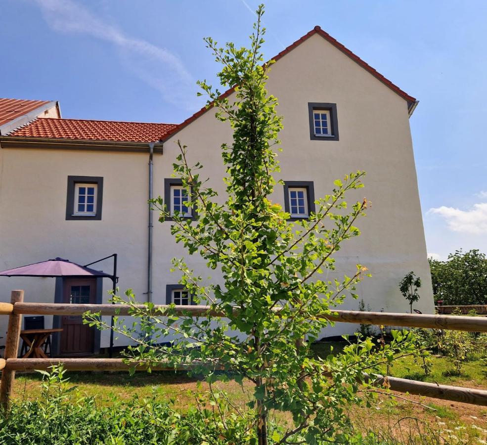 Ferienhaus "Entenhaus" Im Gutshaus De La Fontaine Feilsdorf Eksteriør bilde